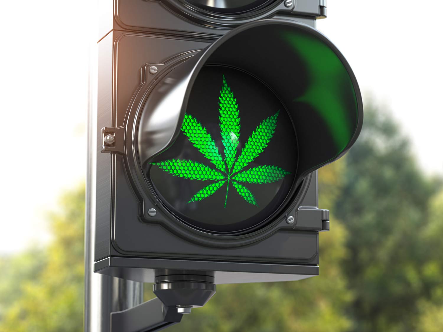 Cannabis Legalisierung in Deutschland aktueller Stand