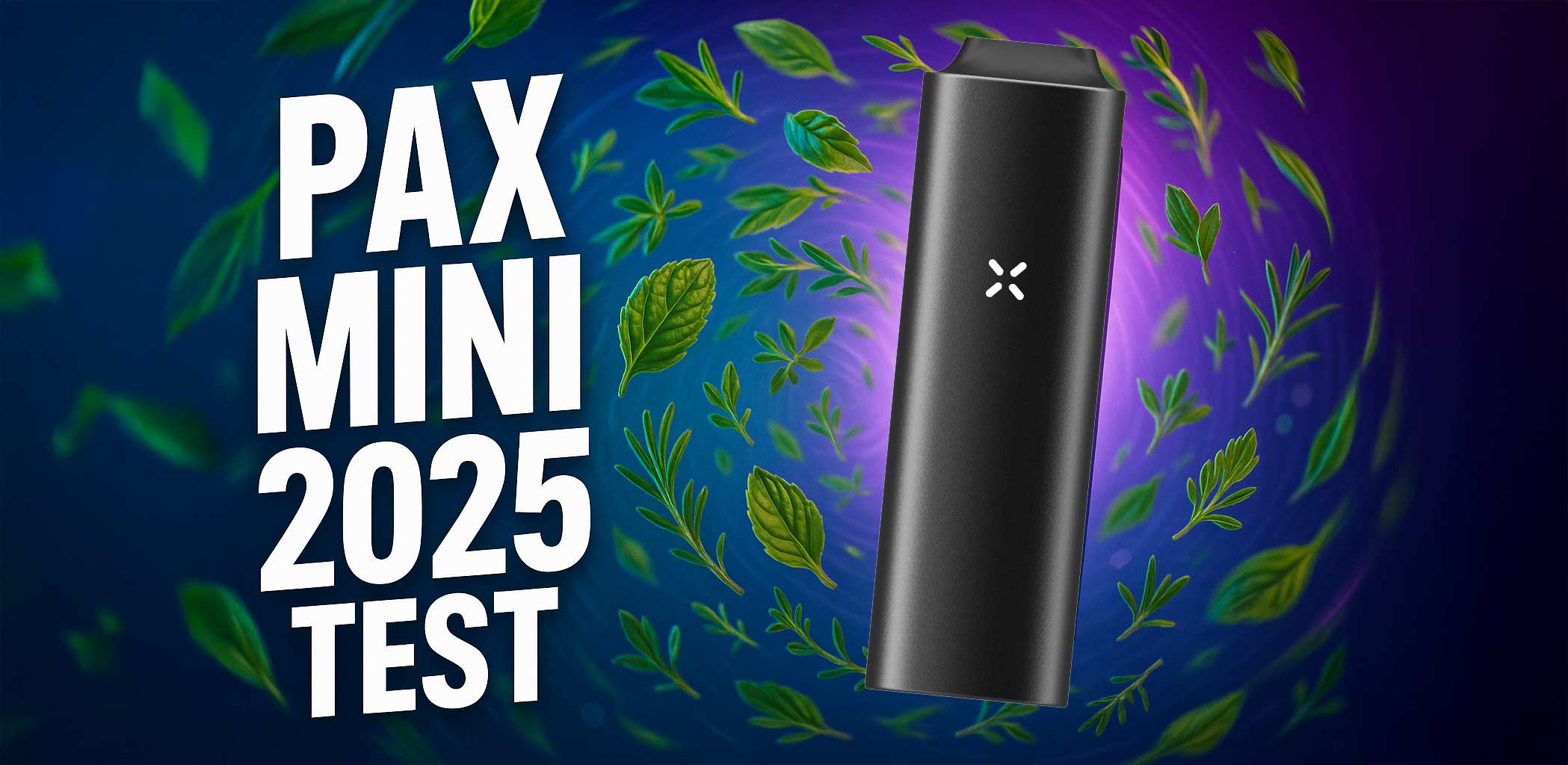 vape shop niederlande PAX Mini 2 (2025) Test: Kompakt & leistungsstark